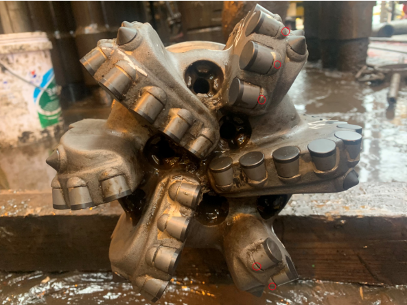 20220426 X�͑�(h��)1613BIM-1�c�M(j��n)���X�첼���к��͖|���^(q��)�K��